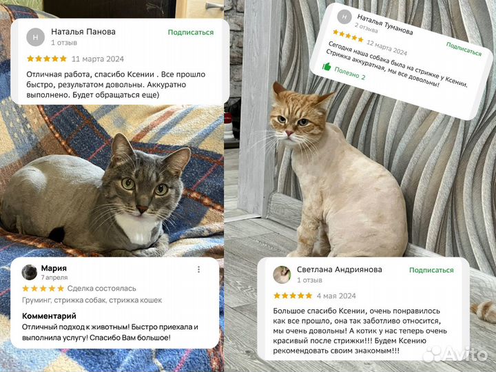 Стрижка кошек и собак