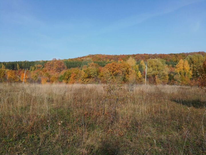 Участок 10 сот. (ИЖС)