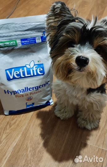 Сухой корм для кошек Farmina гипоаллергенный1,5кг