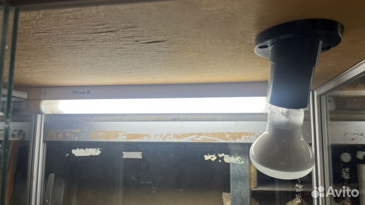 Вертикальный террариум 100 60 45