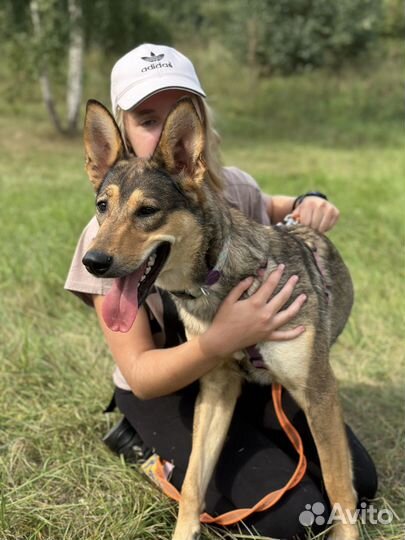 Луна. Беззащитный ребенок из приюта