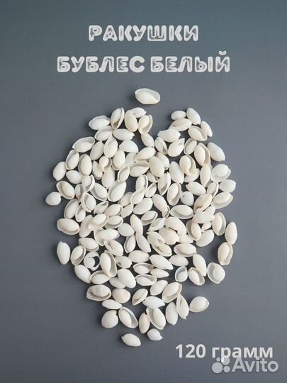 Белые морские натуральные ракушки Бублес