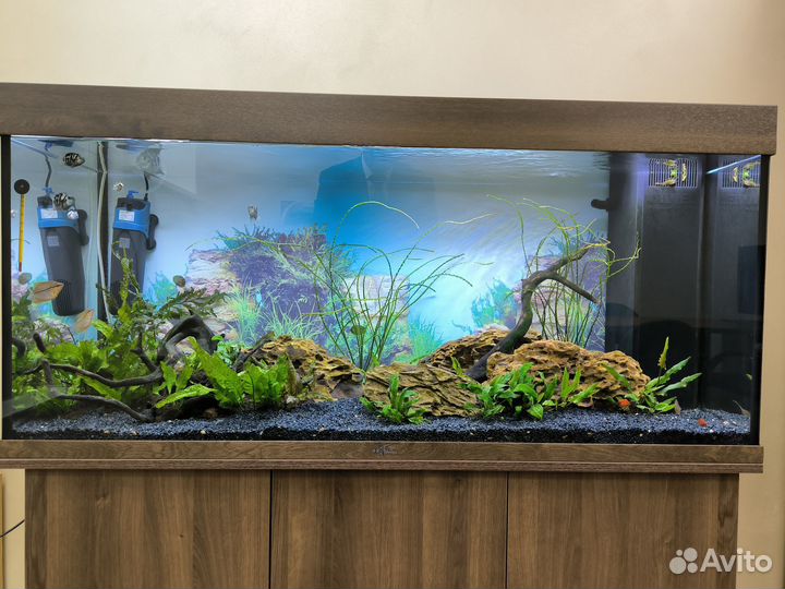 Аквариум 280 литров для вашего офиса или дома