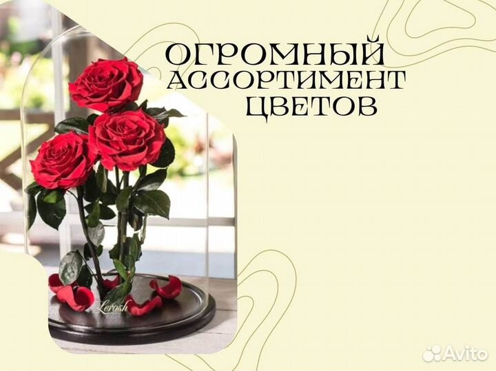 Живая роза в колбе