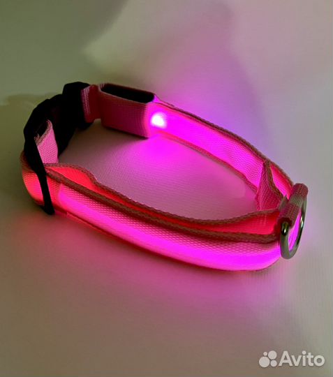Светящийся ошейник для собаки L (38-50см)