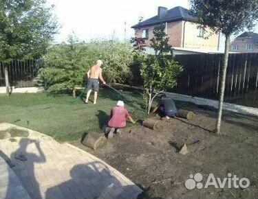 Рулонный газонУкладка Рулонного газонаГазон от про