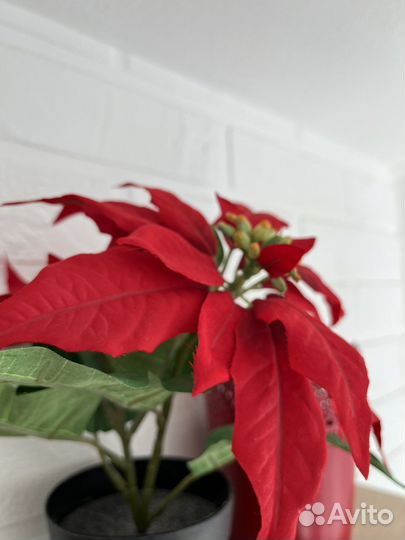 Фейка IKEA и кашпо