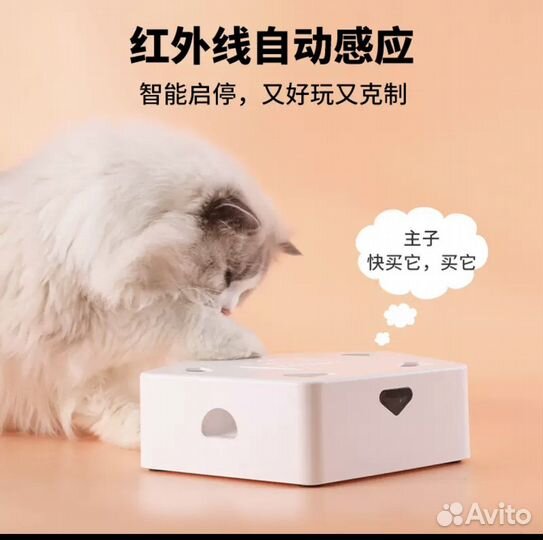 Игрушка для кошек пятиугольник