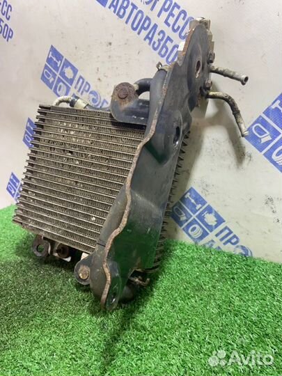 Радиатор масляный Nissan Murano кроссовер 3.5 VQ35