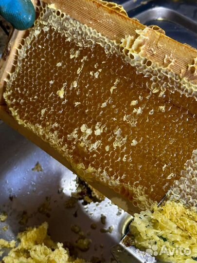 Мед цветочный с собственной пасеки