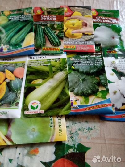 Рассада кабачков, тыквы, огурцов, патиссонов