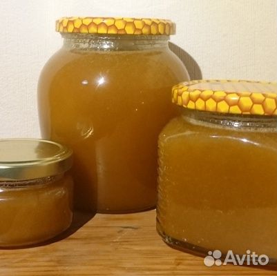 Дягилевый мед Алтай