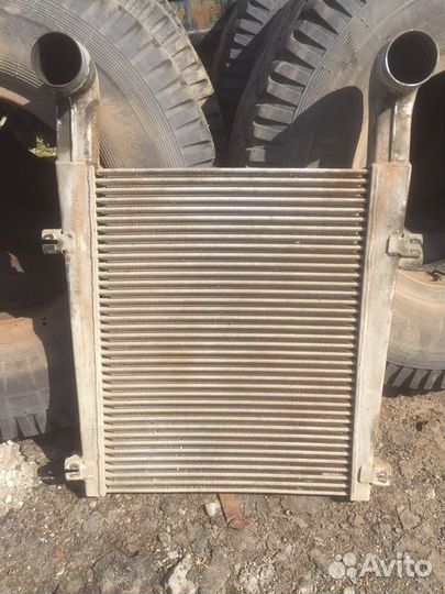 Интеркулер маз ямз 238236 евро 2