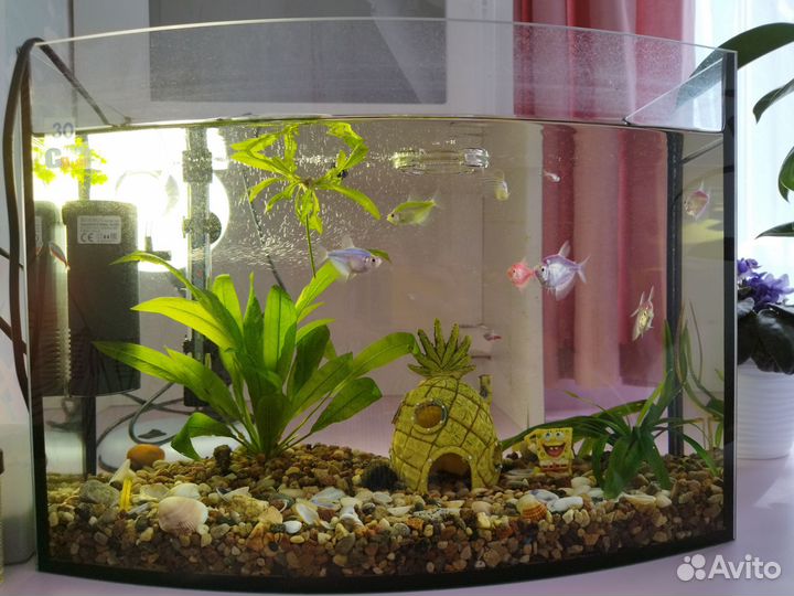 Аквариум