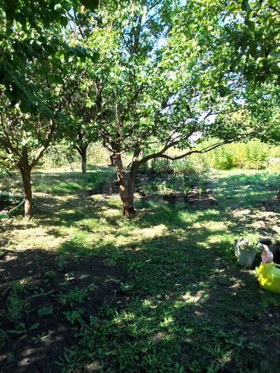 Дом 67,2 м² на участке 12 га