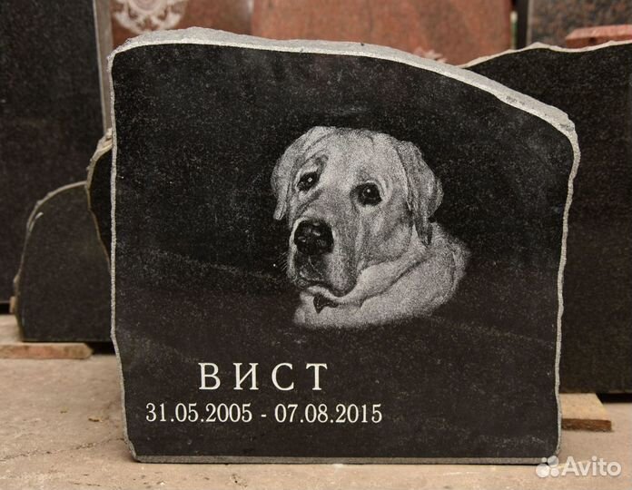 Памятник для животного