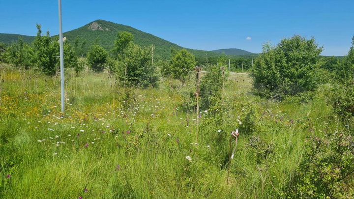 Участок 12 сот. (СНТ, ДНП)