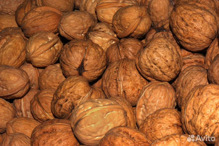 Грецкий орех