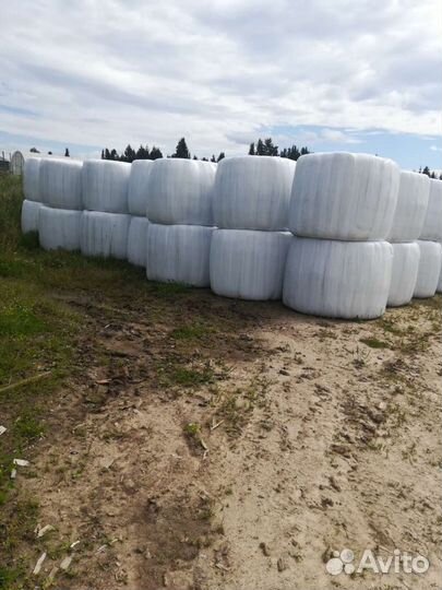 Продам сено в рулонах 450кг