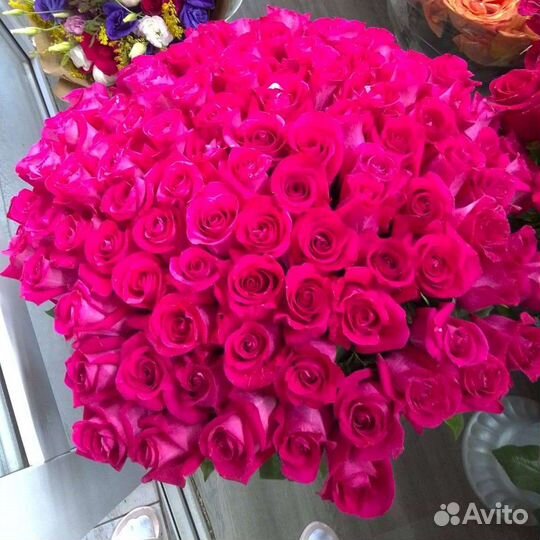 Голландская роза