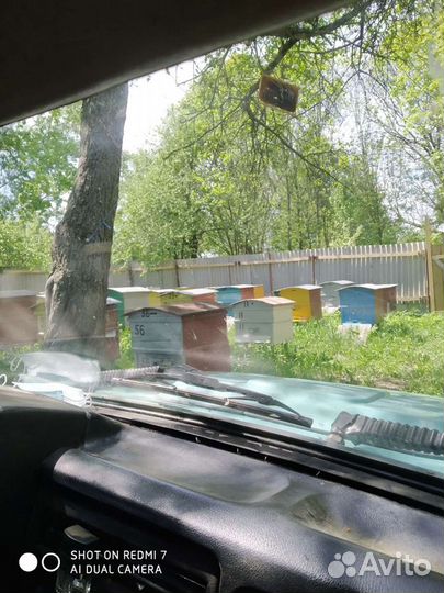 Мед с доставкой на дом