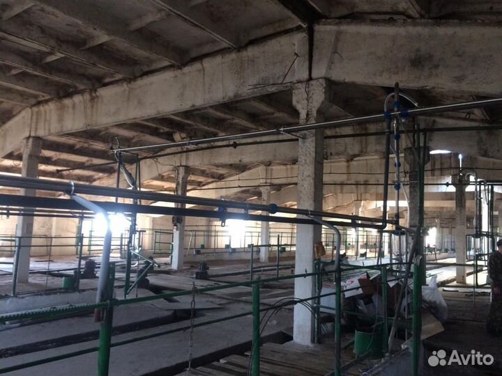 Молокопровод