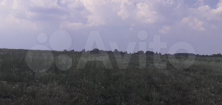 Участок 8,4 сот. (ИЖС)