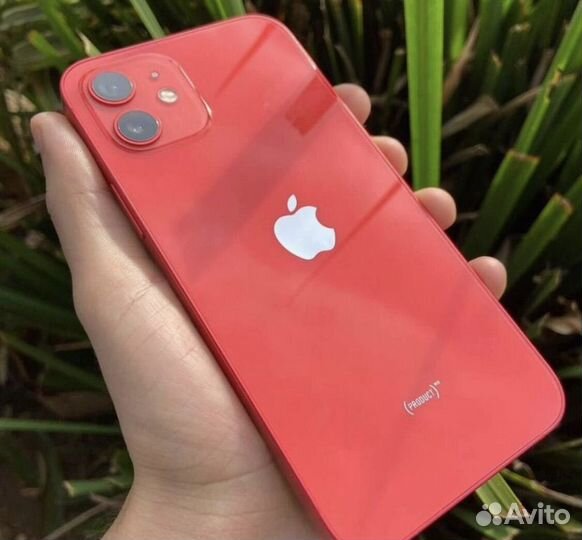 iPhone 12, 256 ГБ