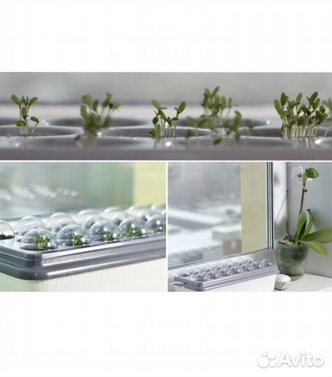 Двойная чудо-грядка