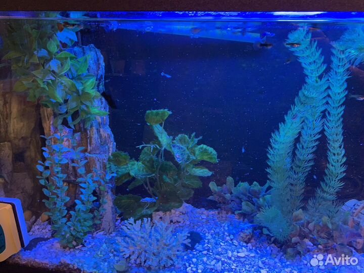Аквариум с тумбой бу