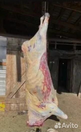 Забойщик скота