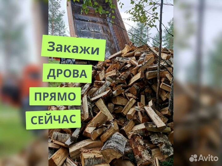 Дрова Качественные
