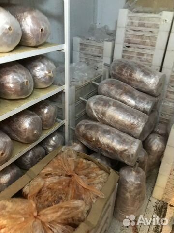 Мясо для шаурмы