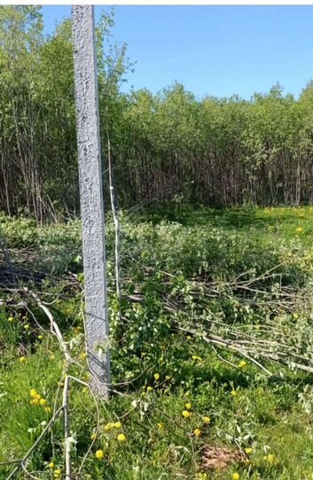 Участок 12 сот. (ИЖС)