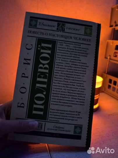 Книга Борис Полевой 