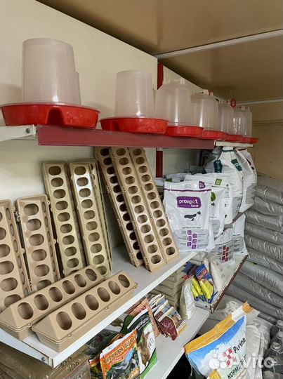 Кормушки, поилки для птиц