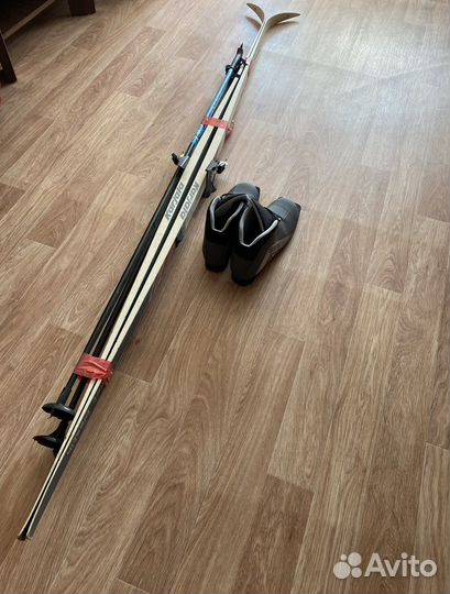 Беговые лыжи