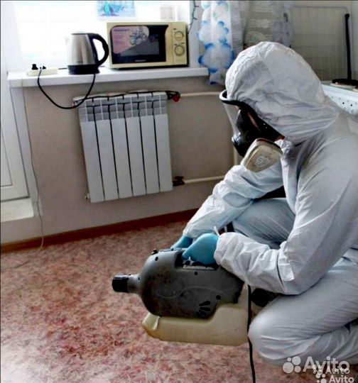 Уничтожение клопов тараканов блох мышей