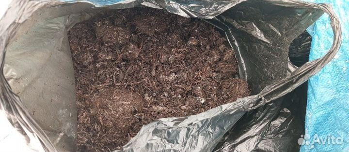 Компост от шампиньонов