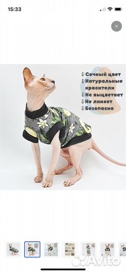 Одежда для кошек