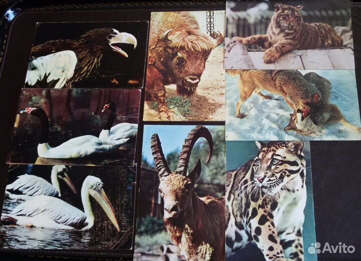 Открытки 16шт