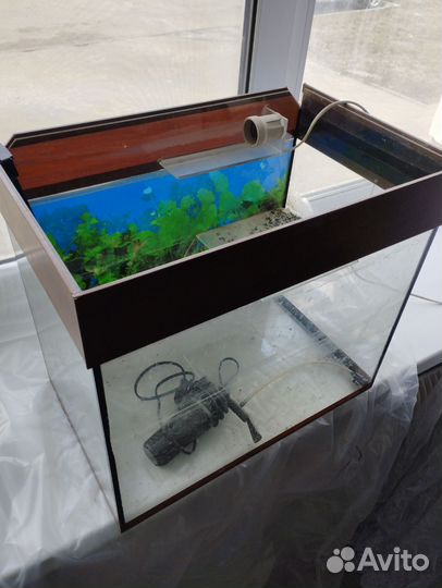Аквариум