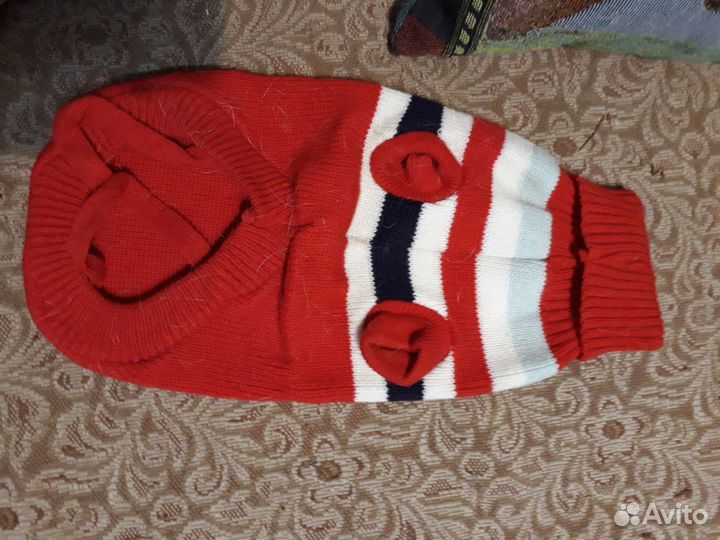 Одежда для собак