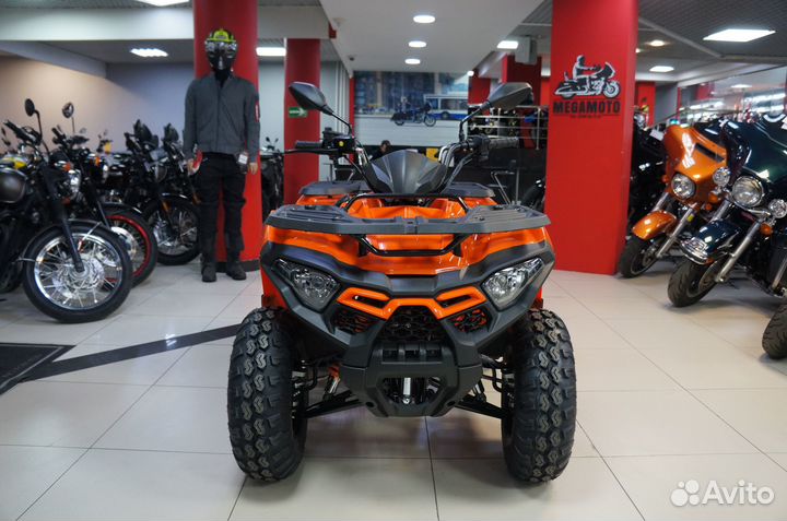 Loncin Xwolf 200, 2024
