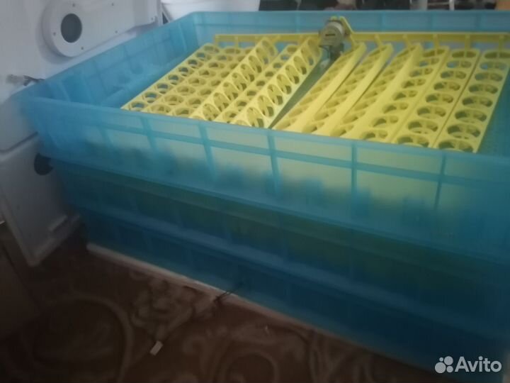 Инкубатор для яиц автоматический