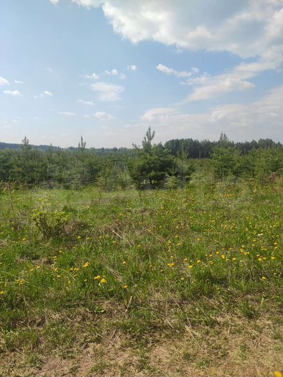 Участок 9 сот. (ИЖС)