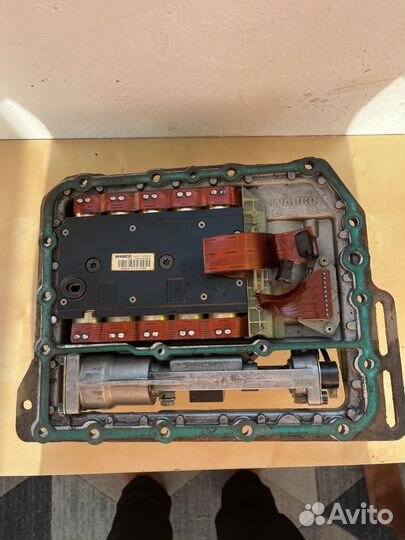 4213550158(4213555382)