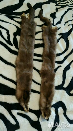 Шкурка норки 2 шт