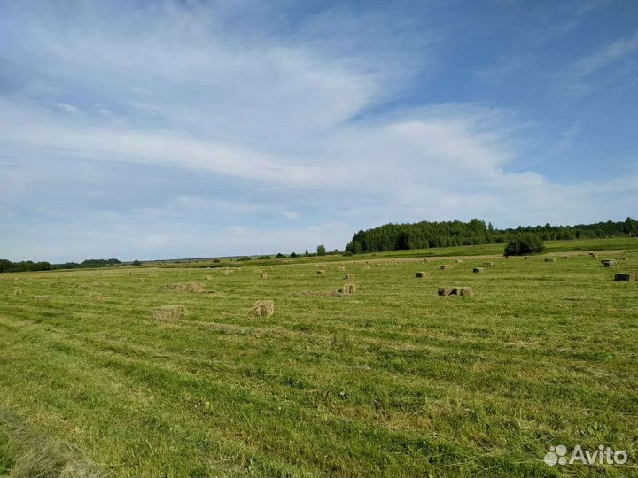 Сено в тюках