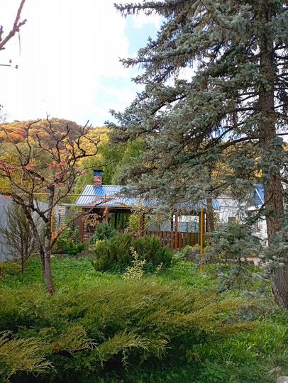 Коттедж 100 м² на участке 19 сот.